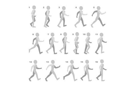 Phases Of Step Movements Walking Animation Animation Reference