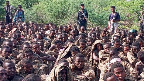 Ethiopian And Eritrean Governments Launch Offensive In Tigray Real News