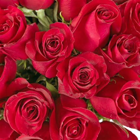 Black Heart Box Red Roses The Gorgeous Flower Company