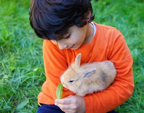 22 Best Pets For Kids With Pictures Pet Keen