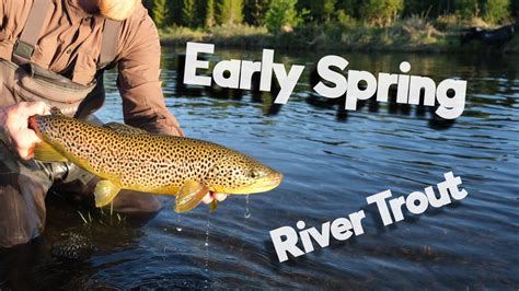 Early Spring River Trout Youtube