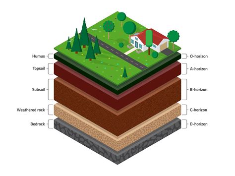 Explore 2 State Soil Horizons And Soil Formation