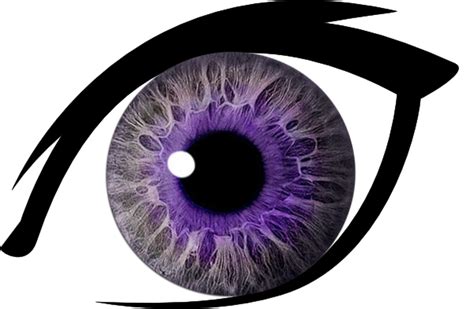 Eye Purple Free Images At Vector Clip Art Online Royalty