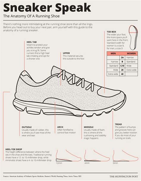 Understanding Wide Shoe Sizes What Are They Estudioespositoymiguel