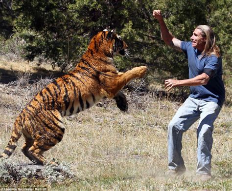 10 Very Interesting Facts About Tigers List Dose