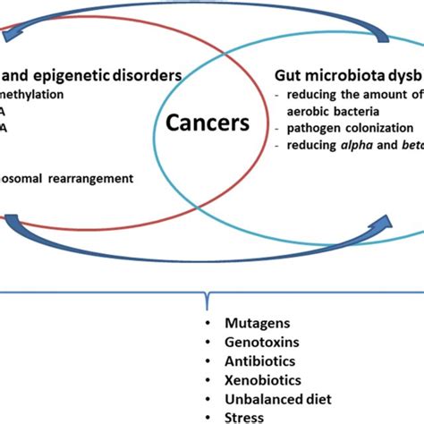 Relationships Between Genetic Disorders And Intestinal Dysbiosis In
