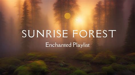 Sunrise Forest Enchanted Playlist Youtube