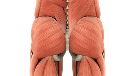 Tight buttocks are a big wish for many women. How to Treat and Prevent Piriformis Syndrome for Runners ...