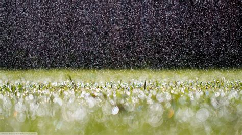 Raindrops On Grass Hd Nature 4k Wallpapers Images