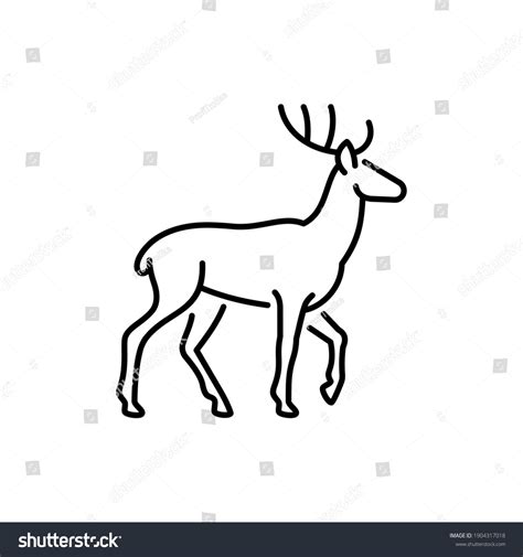 Deer Outlines Over 37286 Royalty Free Licensable Stock Vectors