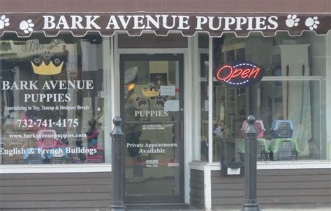 Bark avenue puppies | delivering joy one puppy at a time! Bark Avenue Puppies My daughter loves this place. They have such cute puppies, we love to visit ...