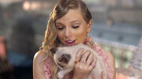 Taylor Swift Tiene Un Lindo Gato Nuevo Taylor Swifts Cats Fondo De Pantalla Pxfuel