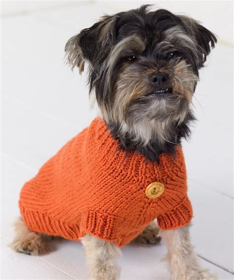 How To Knit A Dog Sweater Easily In 2023 Goknitiinyourhat