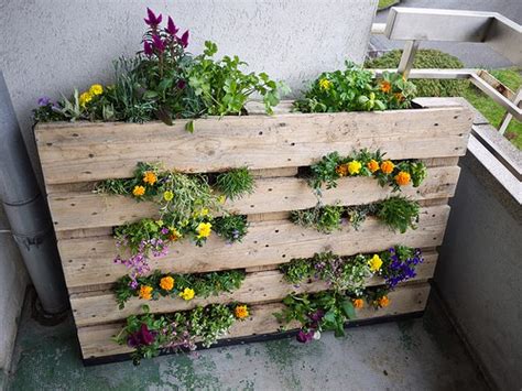 10 Diy Garden Ideas For Using An Old Pallet Gardening