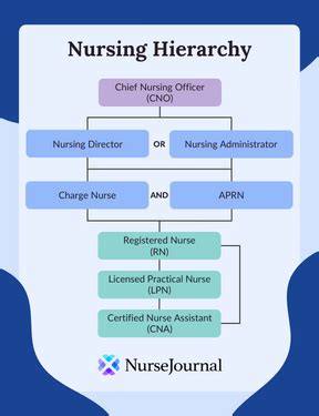 A Guide To The Nursing Hierarchy Nursejournal Org