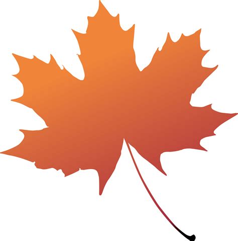 Maple Leaf Canada Png Photo Image Png Play