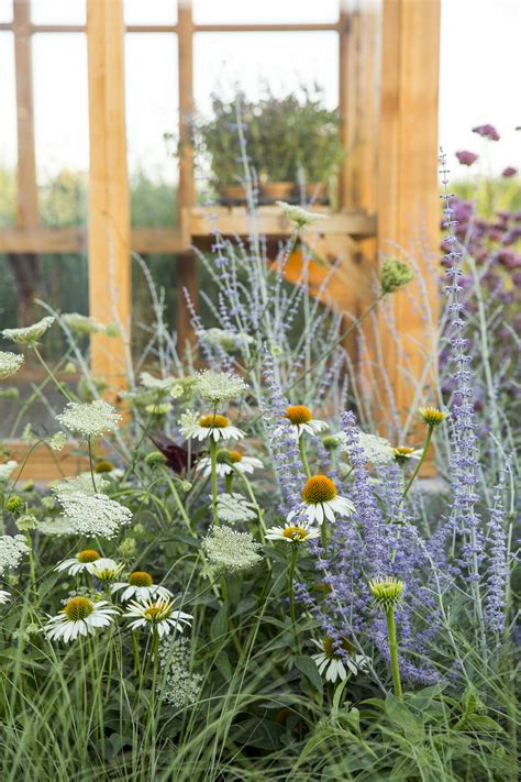 Sunset Magazines Test Garden — Homestead Design Collective