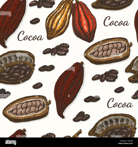 Vector Pattern With Cocoa Vector Illustration For Your Design Stock