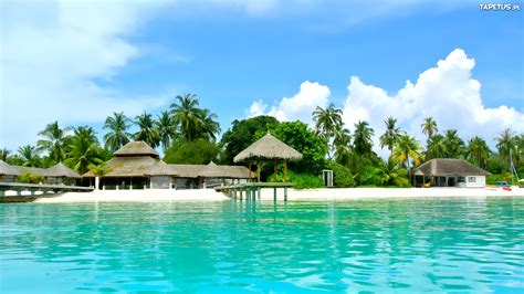Morze Palmy Kokosowe Pomosty Chaty Malediwy