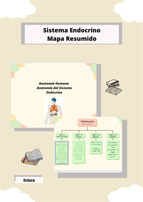 Anatomía En Mapa Resumido Sistema Endocrino Digitalmel Hotmart