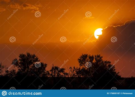Relaxing Sunset In Summer Orange Sunset With Trees In The Sierra De