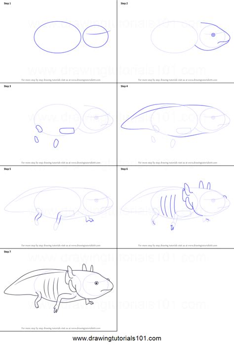 How To Draw A Axolotl Printable Step By Step Drawing Sheet