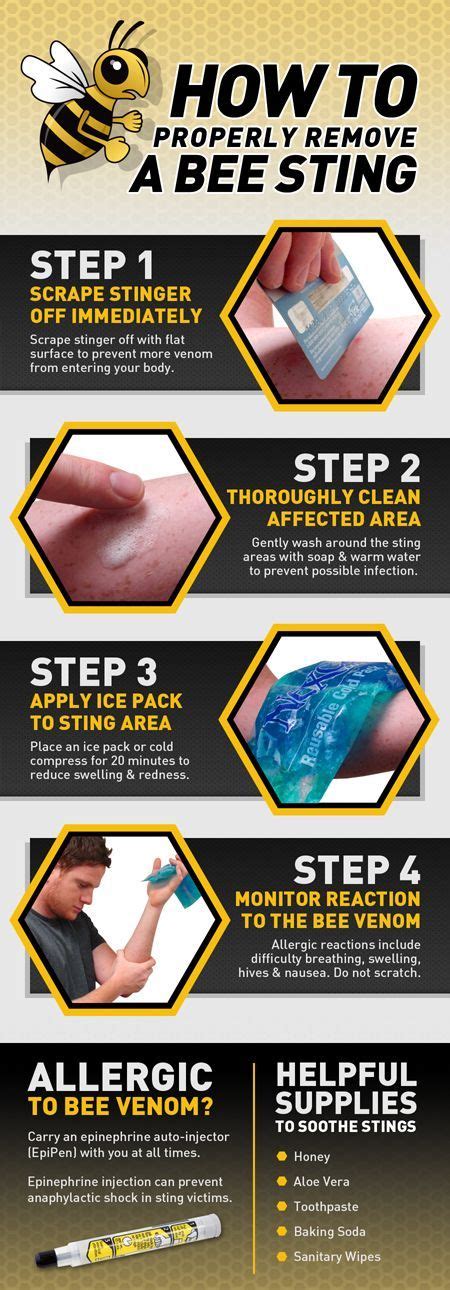 A Visual Guide For Correctly Treating A Bee Sting Includes Tips On