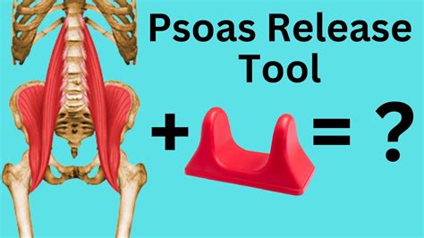 Psoas Release Tool Stretches For Psoas Muscle Relieve Back Hip Pain YouTube