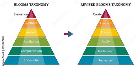 Blooms Taxonomy And Revised Blooms Taxonomy In A Infographic Template
