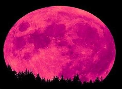 Pink Moon Pink Moon 2018 What Time Is The Pink Moon Tonight Why Do