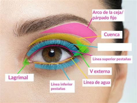 La Guía Completa Para Saber Dónde Debes Aplicar Tu Maquillaje Para Ojos