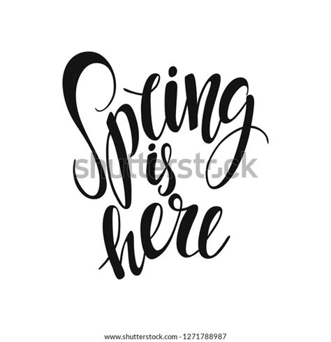 Spring Here Vector Lettering On White Stock Vector Royalty Free