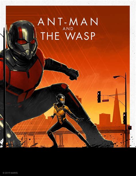 Ant Man And The Wasp Marvel Cinematic Universe Collectors Edition Box Set Posters Ant Man
