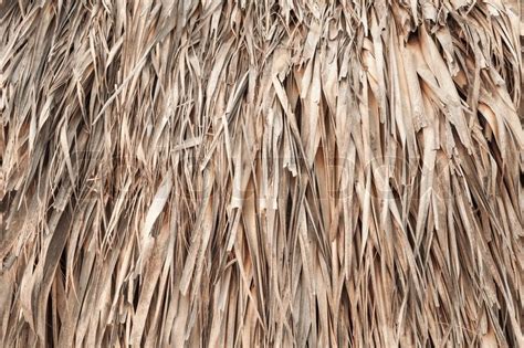 Roof Made Of Dry Palm Leaves Stock Image Colourbox