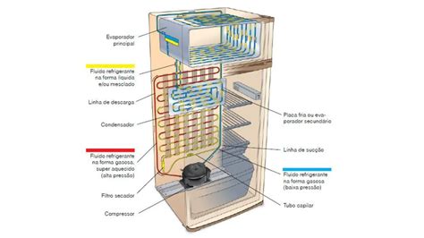 Descubre Las Partes Y Funciones De Un Refrigerador ※