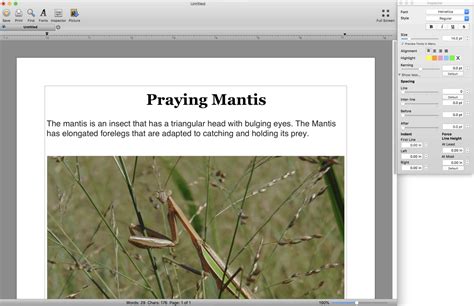 Bean Free Download Link Easy Word Processor For Mac