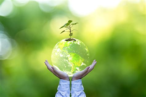 10 Ideas De Medi Ambient En 2021 Cuidado Del Medio Ambiente Dia Del