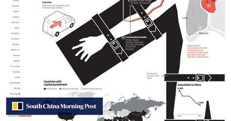 Infographic Capital Punishment In China South China Morning Post
