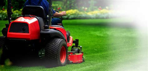 Lawn Care College Station Tx Landscaping College Station Tx Maroon
