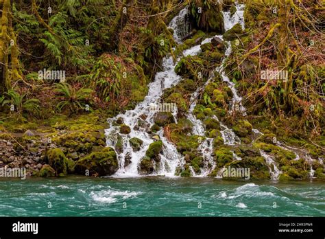 Waterfall Entering The South Fork Skokomish River In Olympic National