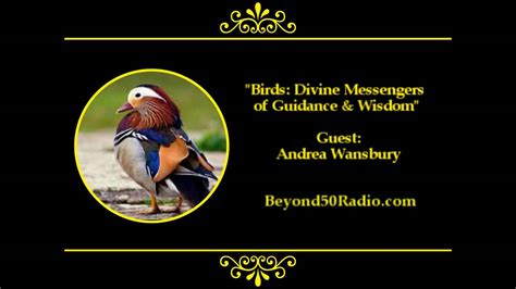Birds Divine Messengers Of Guidance And Wisdom Youtube