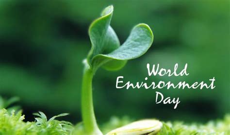 विश्व पर्यावरण दिवस पर कविता World Environment Day Poem