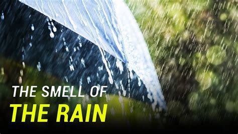 What Causes The Smell After Rain Youtube