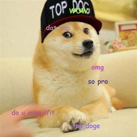 Top Doge Doge Know Your Meme