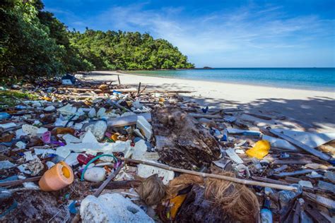 Für Saubere Meer Und Küsten Thailands Engagement Für Den Umweltschutz
