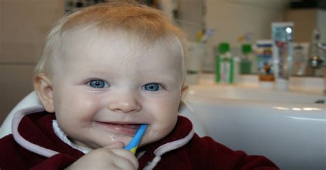 Saiba Como Manter A Higiene Bucal Do Bebê Em Dia