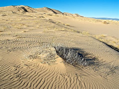 Sand Ripples In Kelso Dunes In Mojave Desert National Preserve