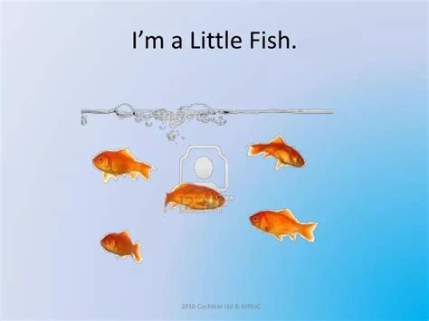 Ppt Im A Little Fish Powerpoint Presentation Free Download Id