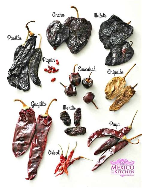 Mexican cuisine draws on indigenous staples like chile peppers and corn. Guide to Types of Mexican Dried Peppers to Know and Love ...