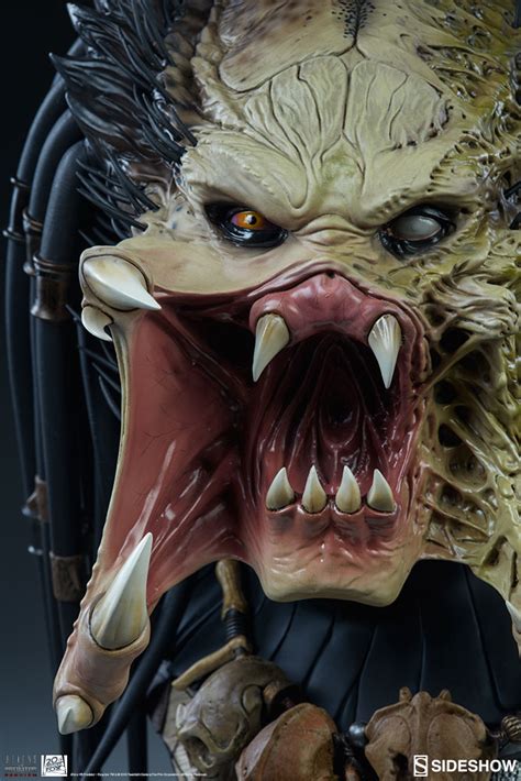 Anderson, and starring sanaa lathan, raoul bova. Wolf Predator Bust (Sideshow Collectibles) - AvPGalaxy
